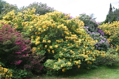 Killikus&reg; Fotographie